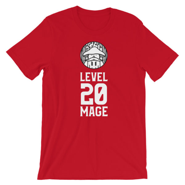 Level 20 Mage