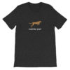 Cheetah Fast