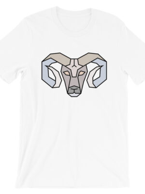 Geometric Ram