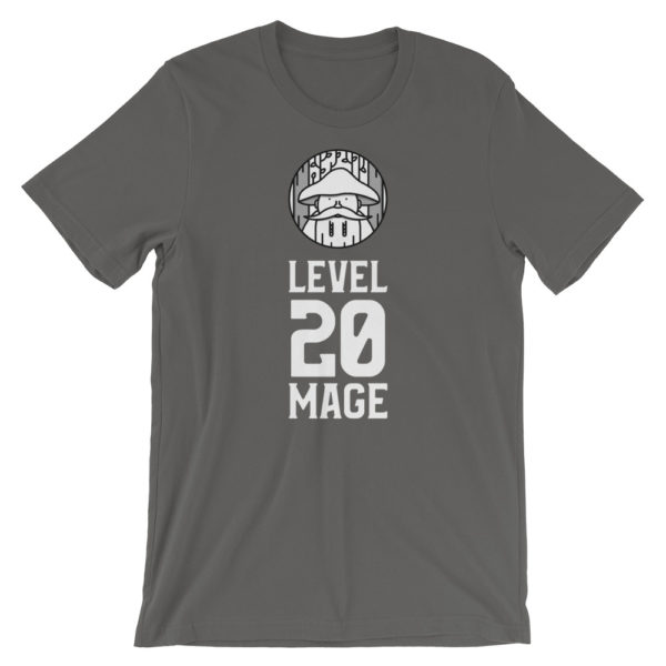 Level 20 Mage