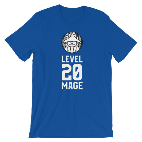 Level 20 Mage