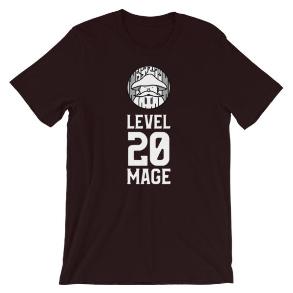 Level 20 Mage