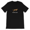 Cheetah Fast