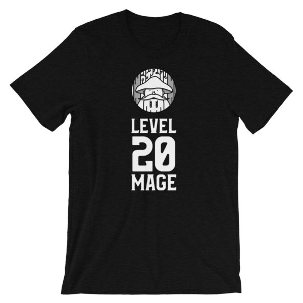 Level 20 Mage