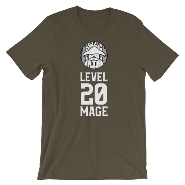 Level 20 Mage
