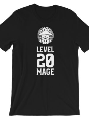 Level 20 Mage