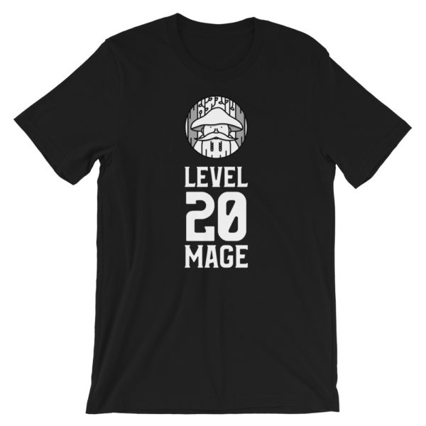 Level 20 Mage