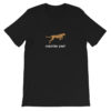 Cheetah Fast