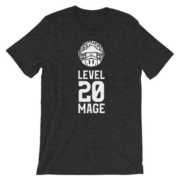 Level 20 Mage