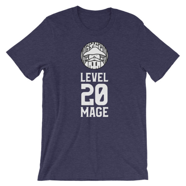 Level 20 Mage