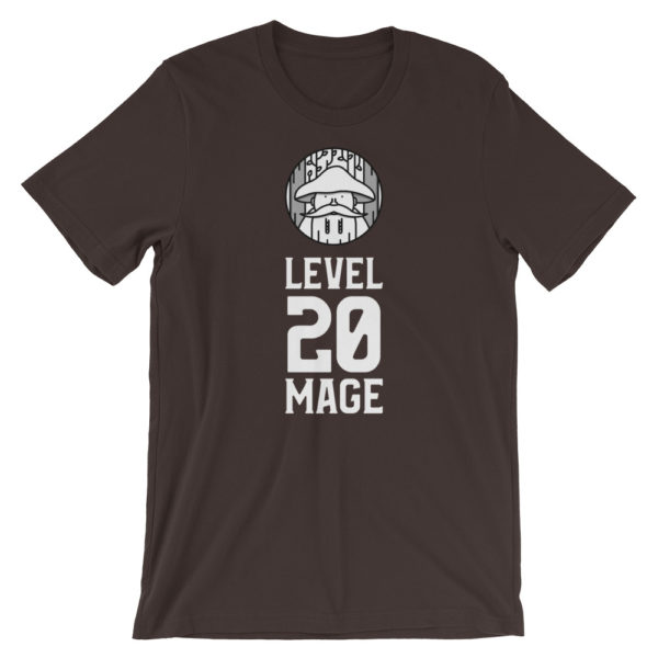 Level 20 Mage