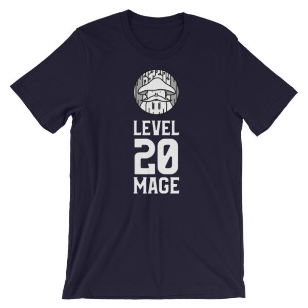 Level 20 Mage