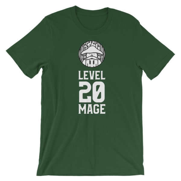 Level 20 Mage